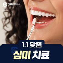 심미치료